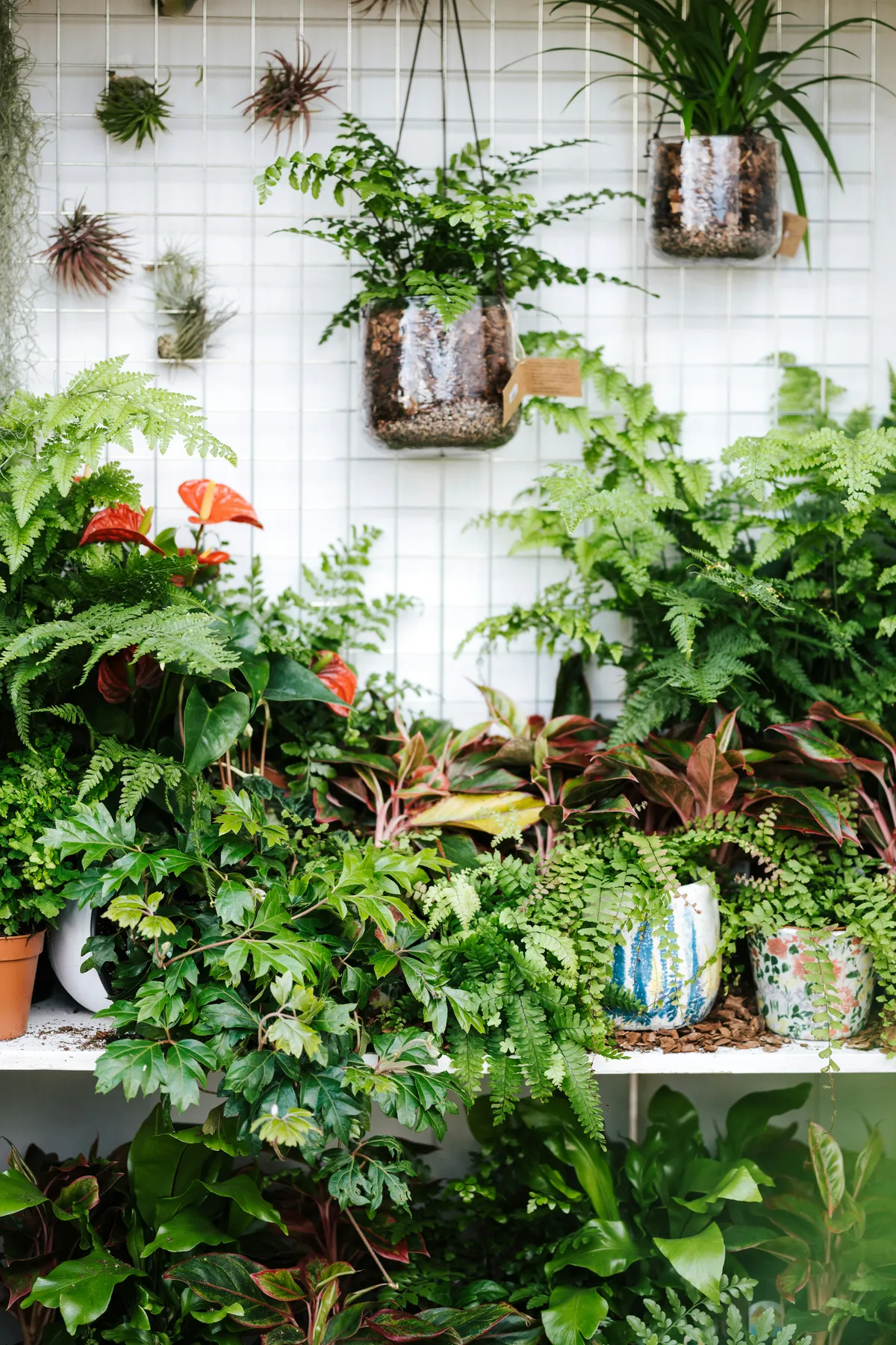 Potted plants arranged in a garden